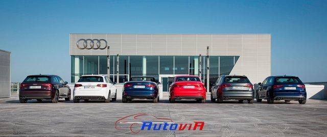 Audi A3 Gama 2013 05