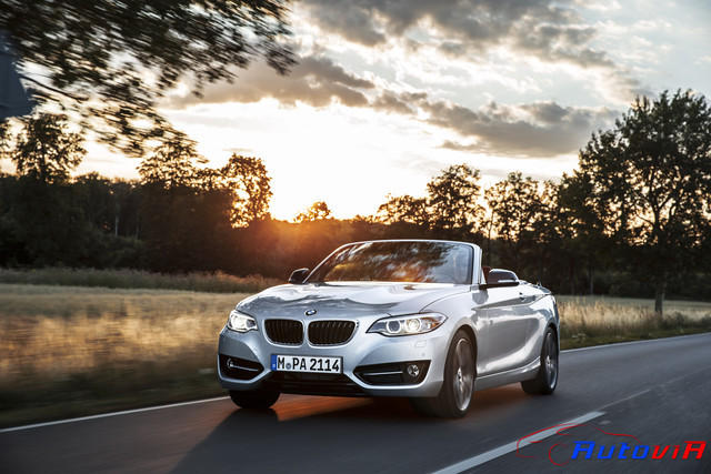 BMW Serie 2 Convertible - 14