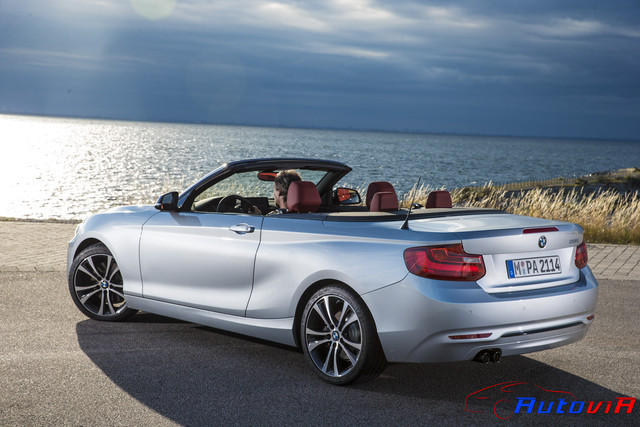 BMW Serie 2 Convertible - 19