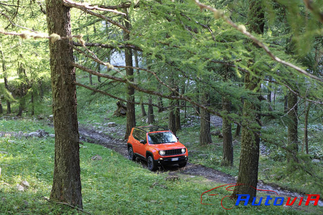 Jeep Renegade Trailhawk 2014 - 08