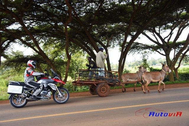 BMW R 1200 GS 2012 081