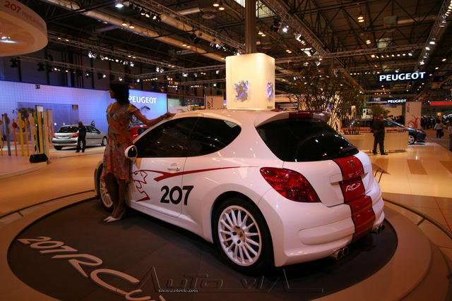 Peugeot 207 RCup 5