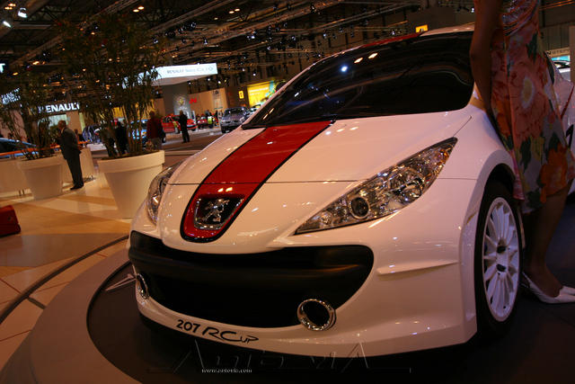 Peugeot 207 RCup 6