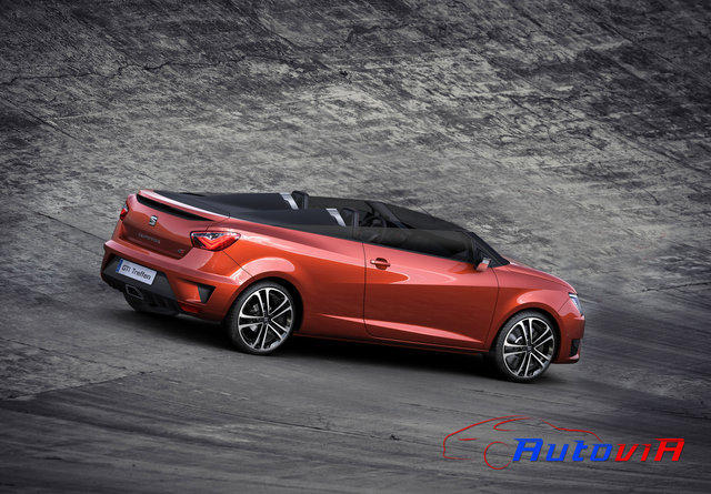 Seat Ibiza CUPSTER 2014 05