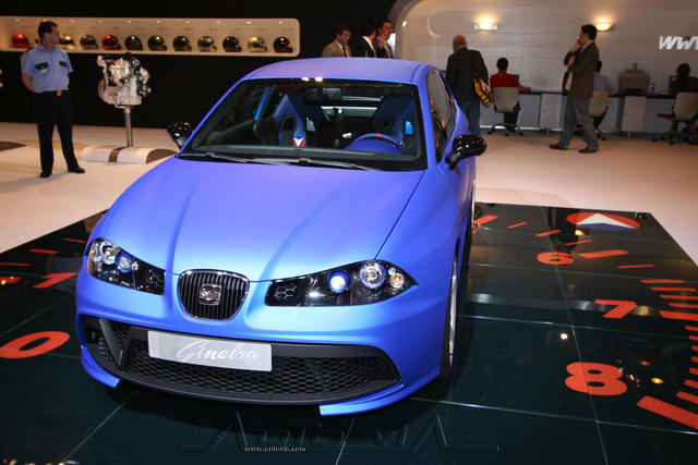 Seat Ibiza Ginebra 15