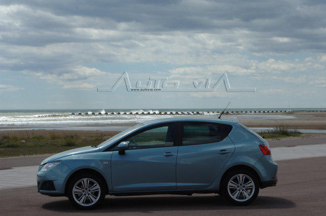 seat ibiza 2008 45