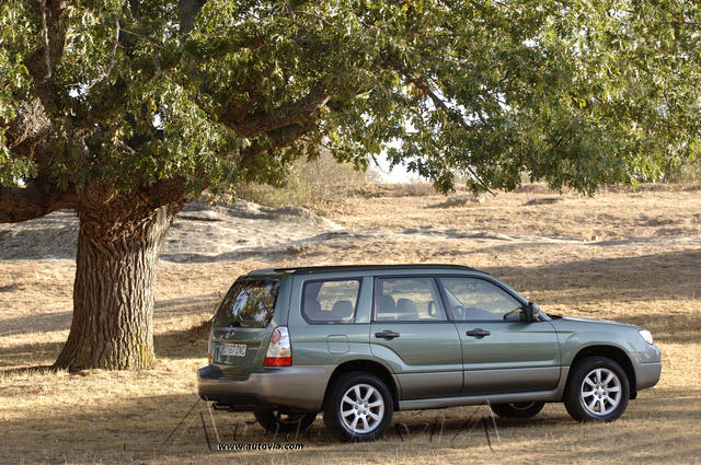 Subaru Forester 64