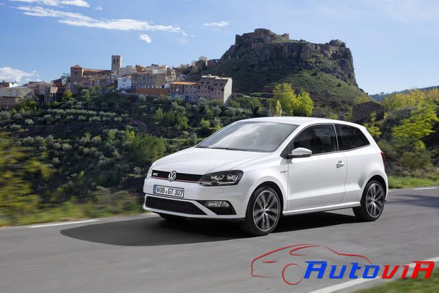 Volkswagen Polo GTI 2014 - 20