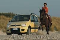 Fiat Panda 4x4 11