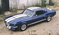 shelby gt500 ford mustangs