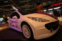 Peugeot 207 RCup 8