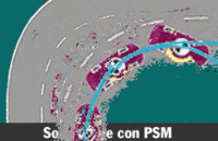 psm ani