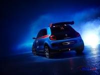 Renault Twin'Run Concept-Car 2013 13
