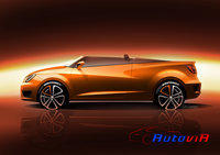 Seat Ibiza CUPSTER 2014 02