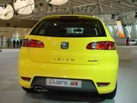 Seat Ibiza 31