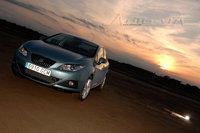 seat ibiza 2008 11