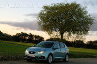 seat ibiza 2008 14