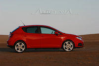 seat ibiza 2008 32