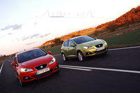 seat ibiza 2008 36