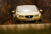 seat ibiza 2008 54