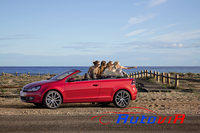 VolksWagen - Golf Cabrio - 02